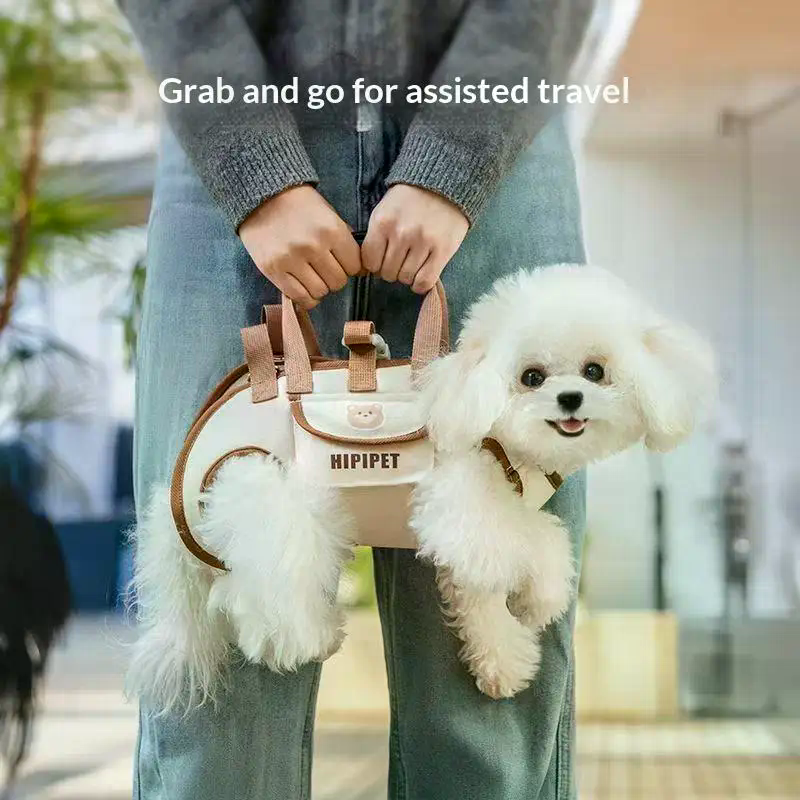 Portable Pets Outdoor Carrying – обзор и цена Edc Carry Clip